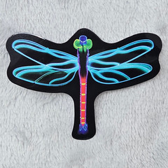 Neon Dragonfly Sticker Black Blue Teal Die Cut Insect Nature Decal Laptop