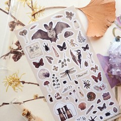 The Naturalist – Sticker Sheet – Insects – Retro – New in Packaging