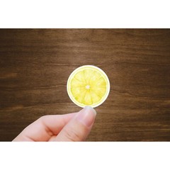 Orange, Lime, and Lemon Stickers | Die Cut, Glossy, Vinyl | Citrus Stickers