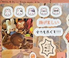 Kawaii Anime Girl Sticker Sheet Matte Japanese Korean Text Deco Journaling