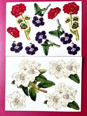 Anna Griffin Flower Pot Decoupage Diecuts 70+ PCS + Floral Recollection Layers