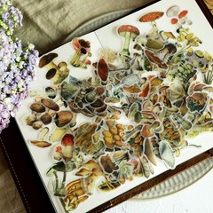 100 pcs Small Mushroom Translucent Vellum Matte Surface Paper Sticker Scrapbook