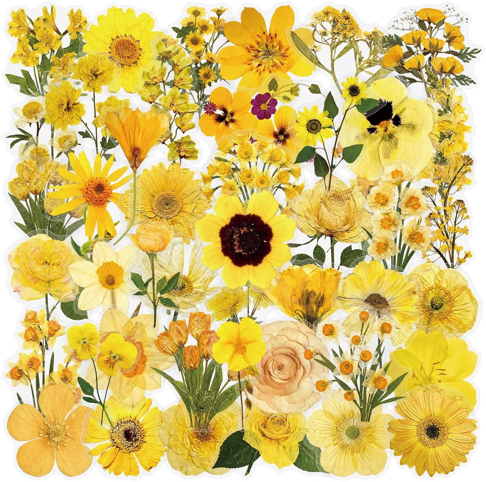 Pressed Flower Stickers 50-Pack, Transparent Yellow Waterproof Decals for Phone