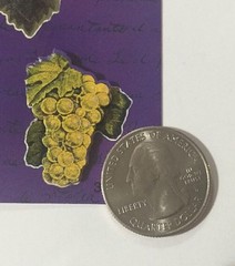 GRAPEVINE 3-D Dimensional FRAME(7pc)The Paper Studio Leaves•Grapes•Stamps•Nature