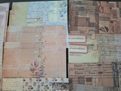 100 Pc Scrapbooking JJ Craft Ephemera Papers Vintage Art Collage Revisited