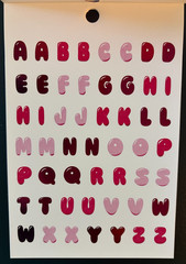 RECOLLECTIONS VALENTINE’S DAY STICKER BOOK 261 PC STICKERS 12 SHEETS ROMANCE