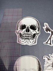4 Sticker Set Black and White Line Art Skulls Flowers By Julie de Graag Skeleton