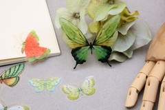 Butterfly sticker | butterflies nature green insect themed PET plastic