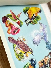 Vintage Mid Century Dennison Wild Bird Seals Stickers Booklet 48 Seals Complete
