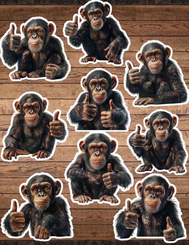 Thumbs Up Monkey Die Cut Vinyl Stickers Set Scrapbooking Laptop Water Bottle