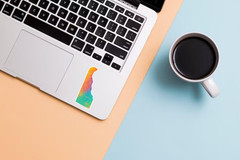 Delaware Sticker – Rainbow Gradient State Art with Gold Foil Birds & Flowers