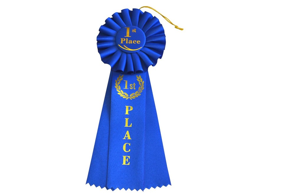 1st Place Rosette Ribbon