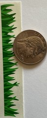 GREEN BLADES OF GRASS Stickers(3pc) Mrs.Grossman’s •Outside•Yard•Card making.