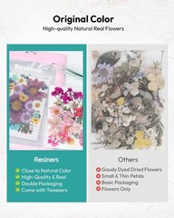 Dried Flowers, Resiners 100Pcs Pressed Flowers for Craft Blossom 100pcs