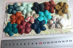 MARRI COLLECTION REFLECTIONS – 12 Paper Flower Mix with Centres 40mm PRIMA EBRB