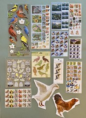 Lot of BIRD Stickers! Sticko, Studio 112, Etc