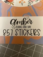 Amber Plans Her Day Doodled Florals Sticker Book 857 Planner Stickers 30 Pgs