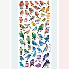 Violette Stickers – Birds – 1 Rainbow Bird Sticker Sheet – Stationery Crafts