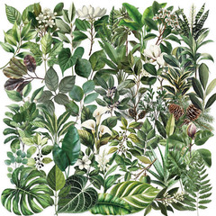 50-Piece Transparent Waterproof Greenery Plant Stickers for Scrapbooking, Journa
