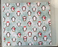 Snowy Scenes 12″ x 12″ DSPaper 8 full sheets, 2-12x 11 sheets, 1-6″ x 12″ sheets