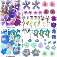 269PCS Dried Pressed Flowers for Resin Craft – YouthBro Real Nature Flowers S…