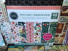 HUGE SCRAPBOOK LOT~Mixed Themes~Paper-Folder-Stamps-Sticker-Bling & More~NEW