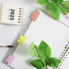 Sticky Index Tabs, Blank Colorful Page Markers, Repositionable Writable Flags