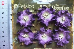 WILD ROSE – 6 Paper Flowers EGGPLANT PURPLE – 3-4cm across Penny Lane Petaloo I