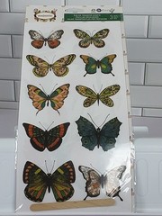 NEW Prima Majestic Rub On Transfer Sheets 3 6×12 Butterflies Flowers People