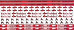 University of Arkansas Razorbacks NCAA Border Scrapbook Stickers 12″