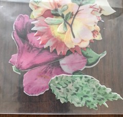 Paper Reflections 8 Vellum Die Cuts “Flowers” Stickers