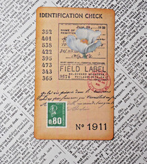 Handmade Embellishments Field Specimen Cards Junk Journal Scrapbook Altered Art