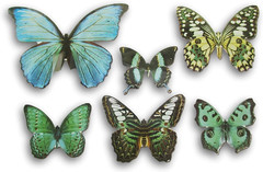 Blue Butterfly Die-Cut Cut-Outs Realistic Shapes with Foil Accents – Nature Jour