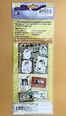 Forever in Time PICTURE FRAME Scrapbooking STICKERS Sticker Trendz 1 Sheet Pack