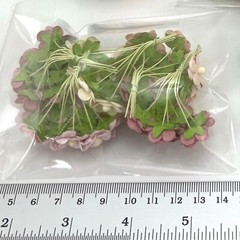 5/8″ or 1.5cm – 500 Cottage MIXED 10 bags Paper Flower Craft Scrapbook (S10-A10)