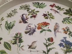 60pcs/Pack flower birds animal floral plant botanical Themed , washi paper stick