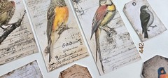 Vintage Bird Tags and Cards – Set of 13 – 442