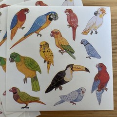 10 Sticker Sheets Unique Colourful Australian Birds Wildlife multicoloured