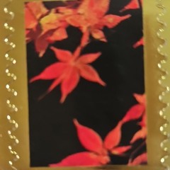Autumn Leaves Scrapbooking Stickers, Gold Border Red Black Orange Yellow Phrases