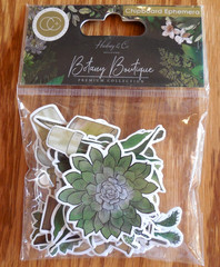 NEW 2024 Craft Consortium Chipboard Ephemera «Botany Boutique» Collection