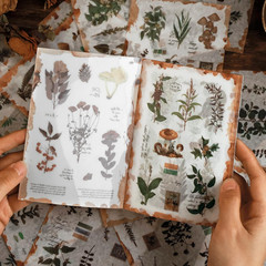 Plant Themed Washi Stickers for Journaling Scrapbooking Planner Sticker Ephemera