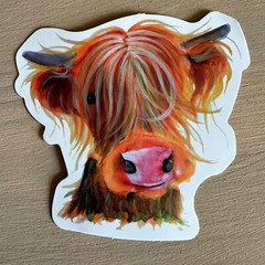HIGHLAND COWS, 50 stickers, animals, cute, mini cow, decal