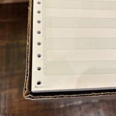 Staples Green Bar Computer Paper 14-7/8″ x 11″ – 76Line 100 sheets