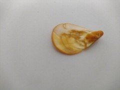 5X PEARL ORNAMENT EMBELISHMENTS FOR SCRAPBOOKING/JOURNALS ETC DROP 3 CM (A)
