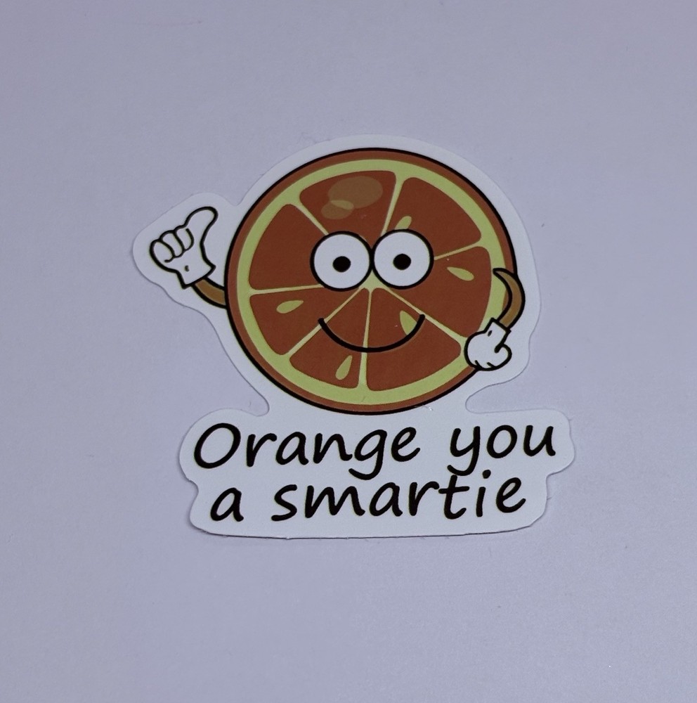 Cute Orange Fruit Vinyl Art Sticker School Motivation Kids Matte Decals Tc9