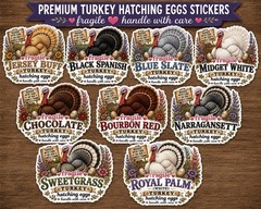 100 Blue Slate Turkey Hatching Egg Stickers | Poultry Shipping Labels