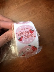 500 Thank You Stickers – New ✨