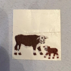 Vintage Rare Fuzzy Stickers from Sandylion and Hambly