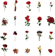 160 PCS(4 Pack) Vintage Rose Floral Stickers, Retro Natural Plants Decals, Water