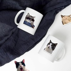 50 Cat Meme Stickers Kitty Faces Cute Cats Decals Laptop Phone Water Bottle